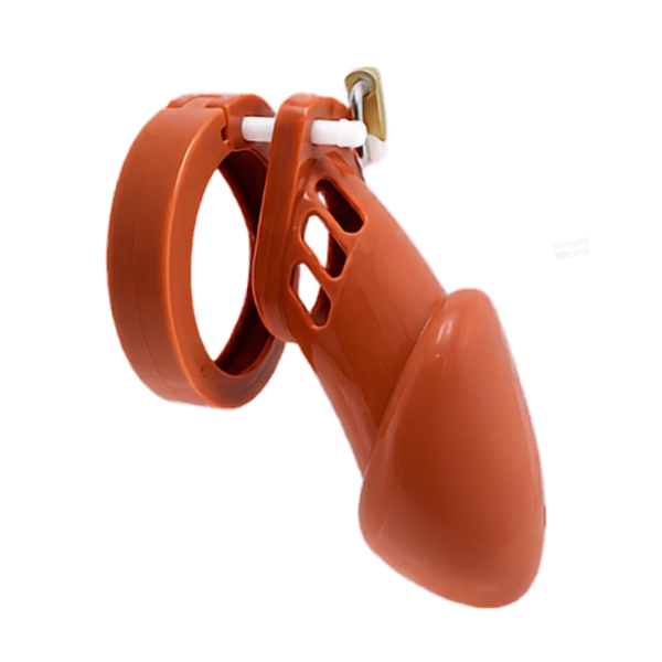 The Jailor Chastity Cage