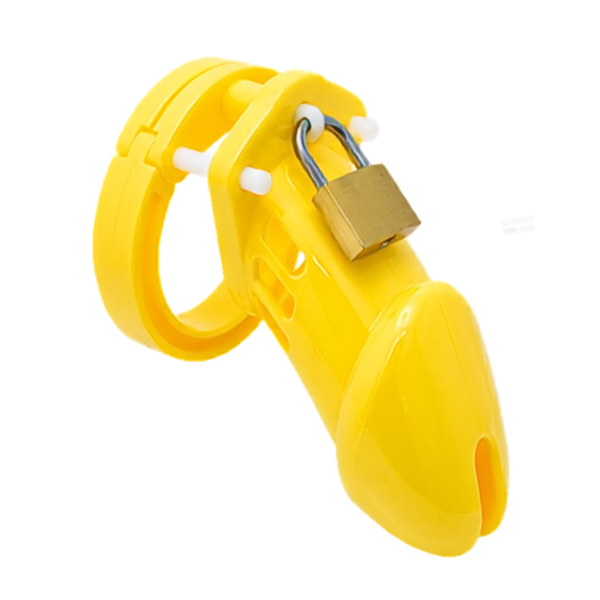 The Jailor Chastity Cage