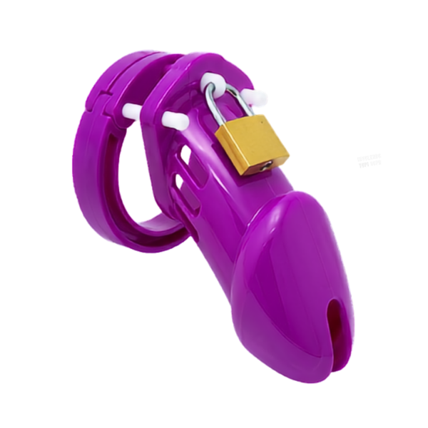 The Jailor Chastity Cage