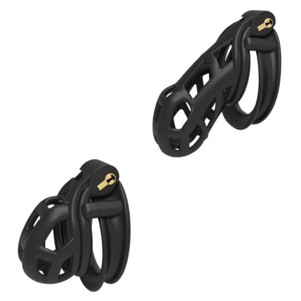 The Last Key Locking Chastity Cage