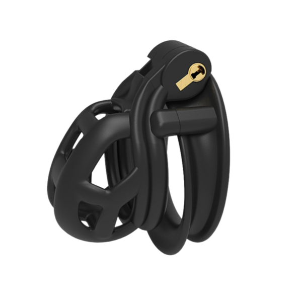 The Last Key Locking Chastity Cage
