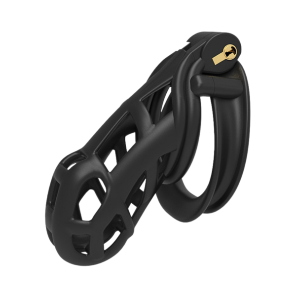 The Last Key Locking Chastity Cage