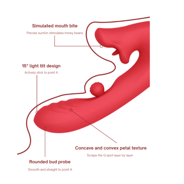 vibrator