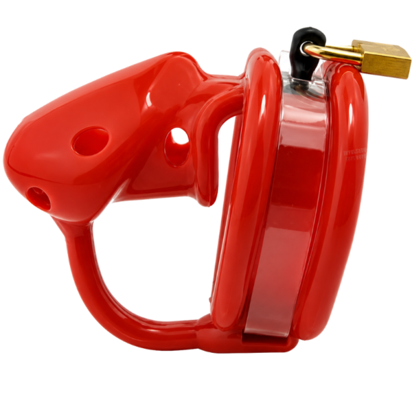 The Warden Chastity Cage