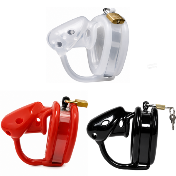 The Warden Chastity Cage