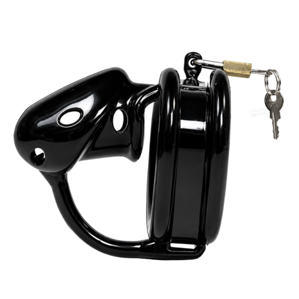 The Warden Chastity Cage