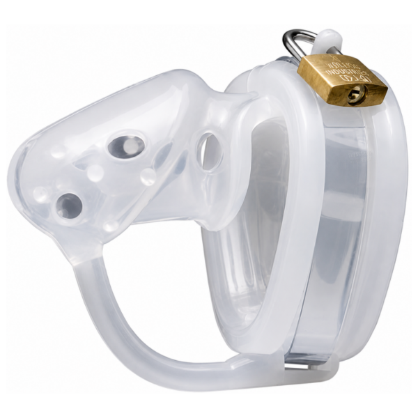 The Warden Chastity Cage