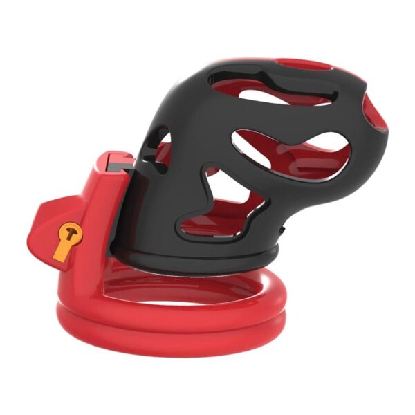 pleasure toy