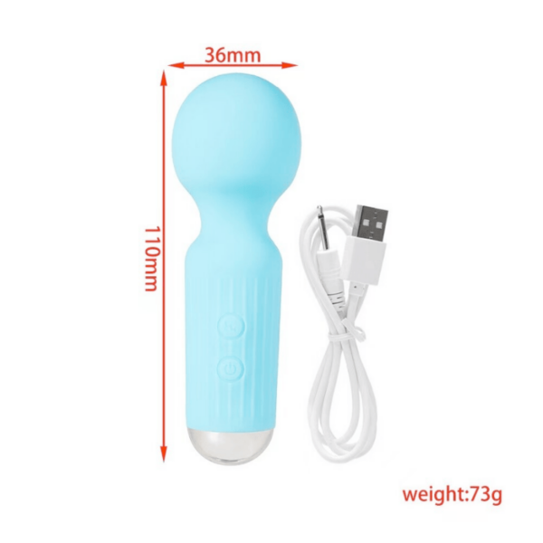 vibrator