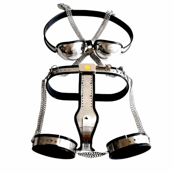 pleasure toy