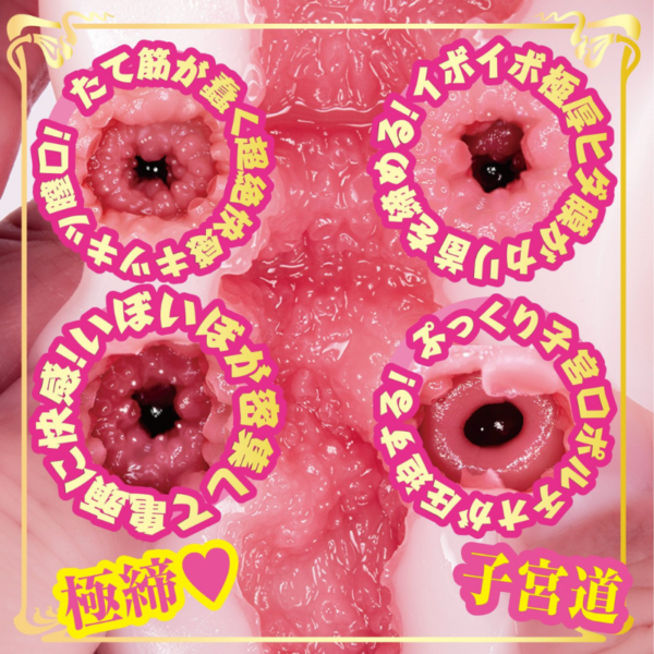 pleasure toy