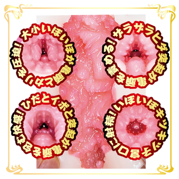 pleasure toy