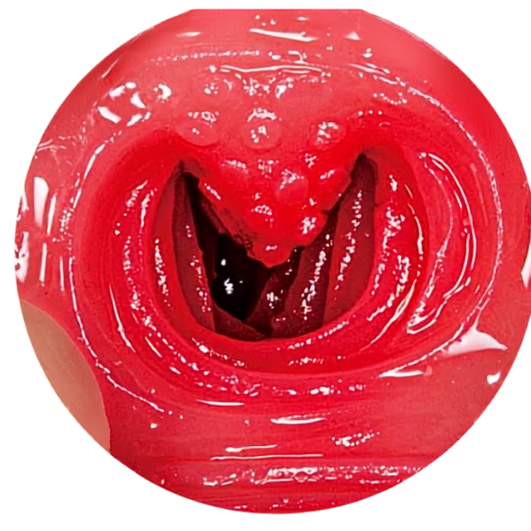 pleasure toy