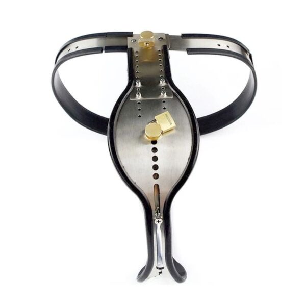 pleasure toy