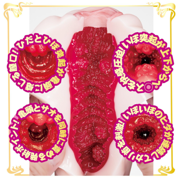 pleasure toy