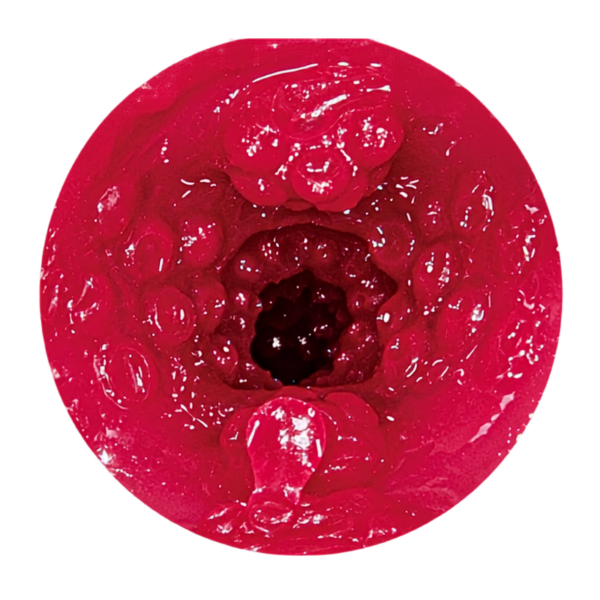 pleasure toy